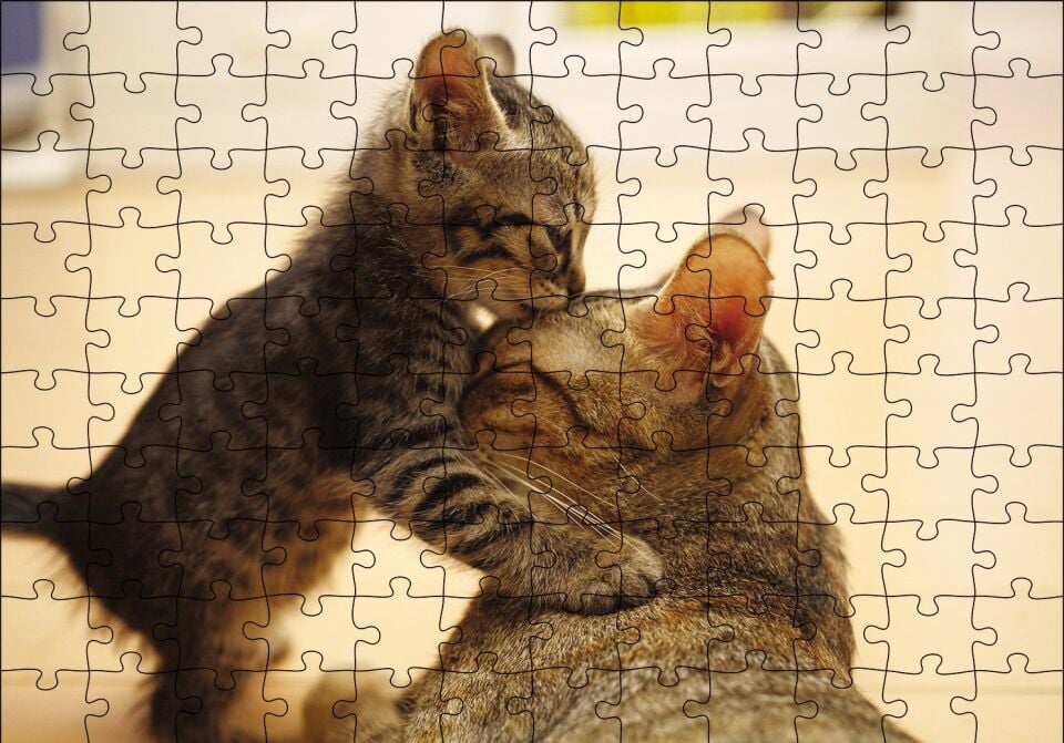 Yavru Kedi Anne Sevgisi Puzzle Yapboz MDF Ahşap