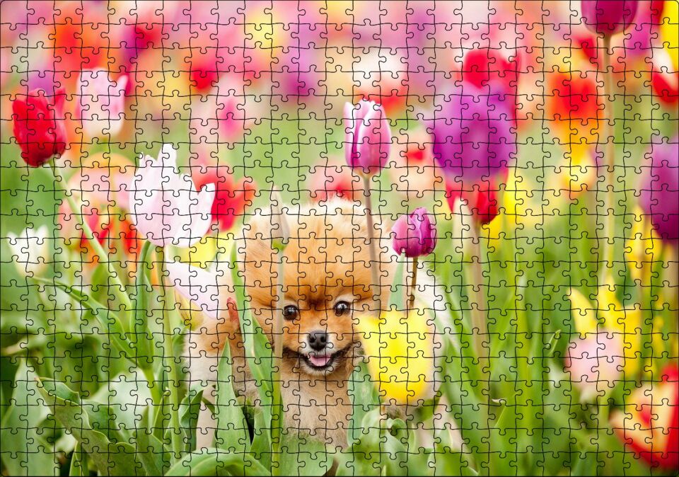 Rengarenk Laleler Arasındaki Sevimli Kahverengi Köpek Puzzle Yapboz MDF Ahşap 500 Parça 49 cm X 68 cm