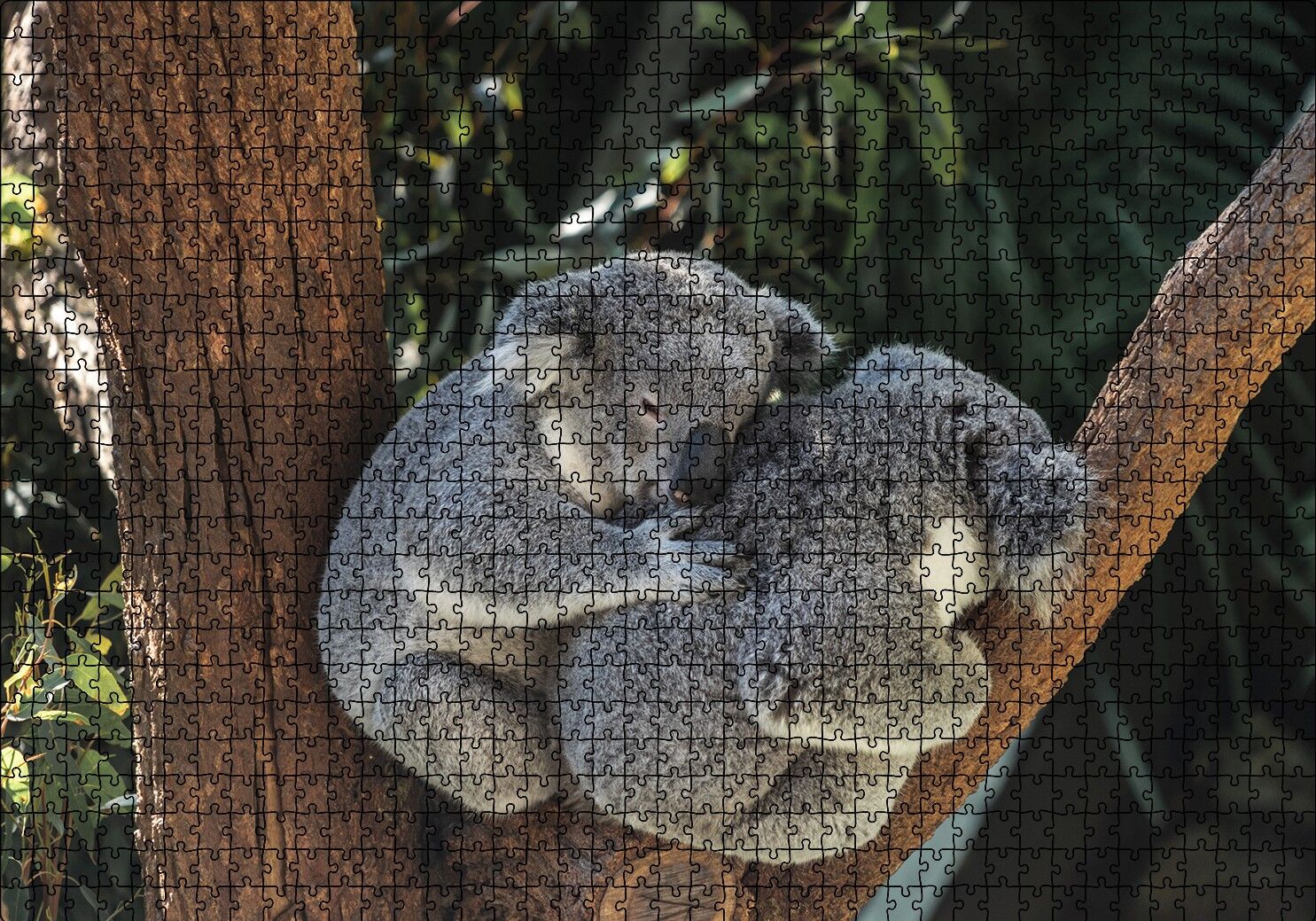 Dalda Koala Kardeşliği Puzzle Yapboz MDF Ahşap 1000 Parça 49 cm X 68 cm