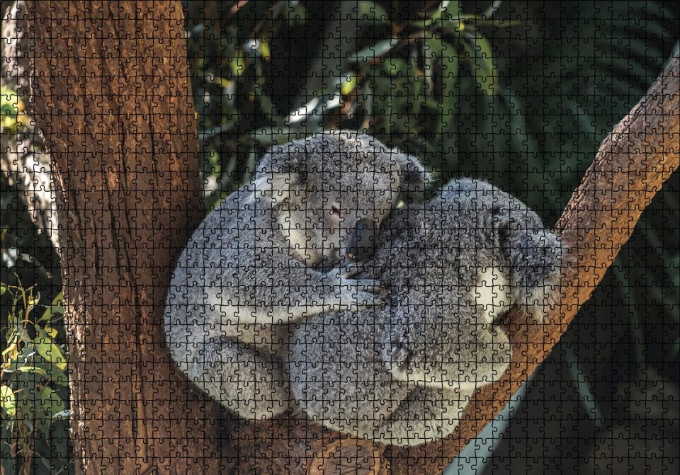 Dalda Koala Kardeşliği Puzzle Yapboz MDF Ahşap 1000 Parça 49 cm X 68 cm