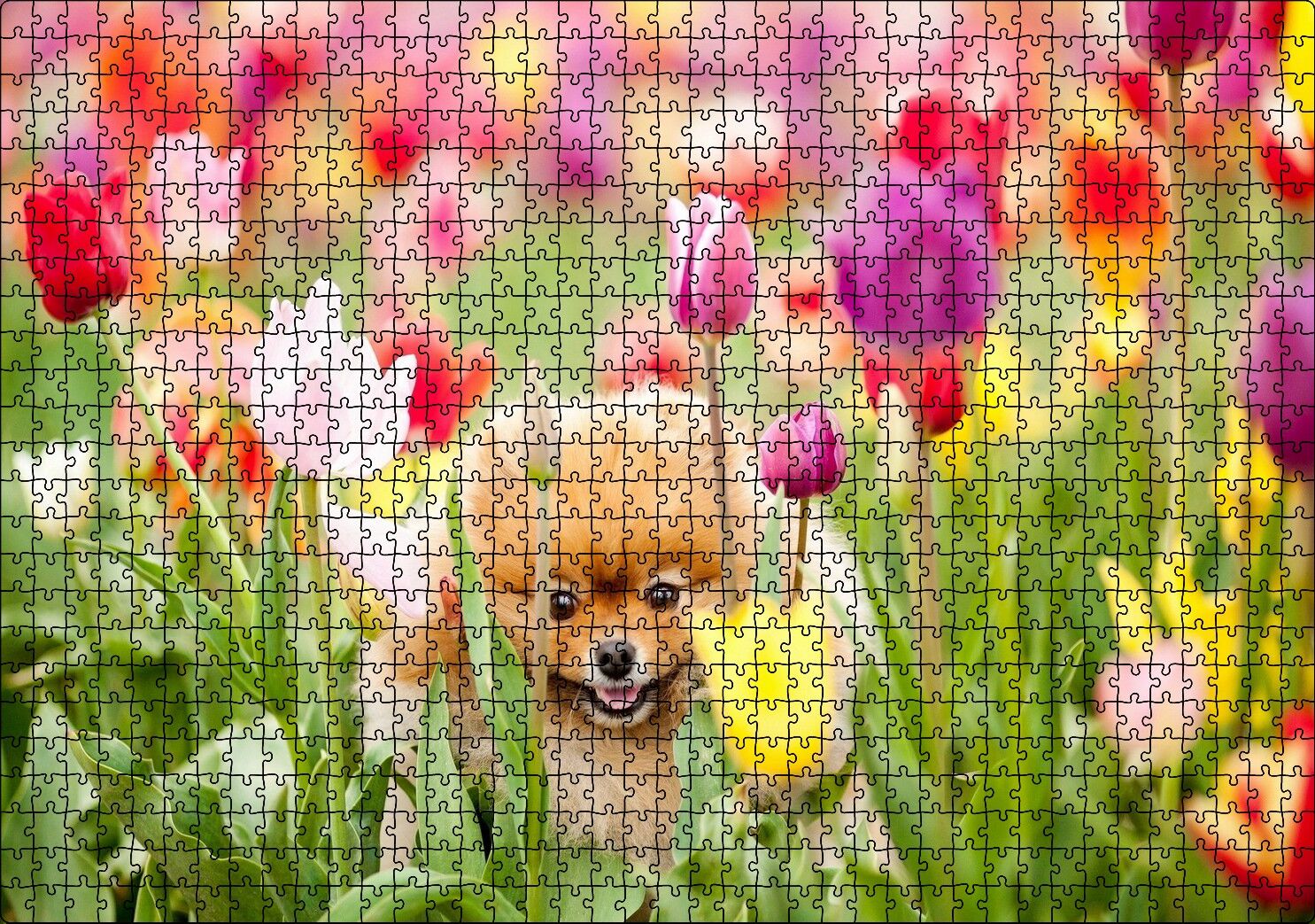 Rengarenk Laleler Arasındaki Sevimli Kahverengi Köpek Puzzle Yapboz MDF Ahşap 1000 Parça 49 cm X 68 cm