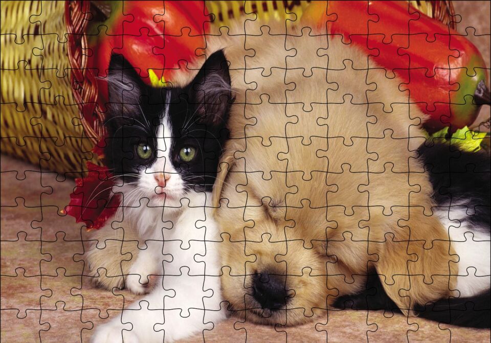 Yavru Kedi Köpek Puzzle Yapboz MDF Ahşap