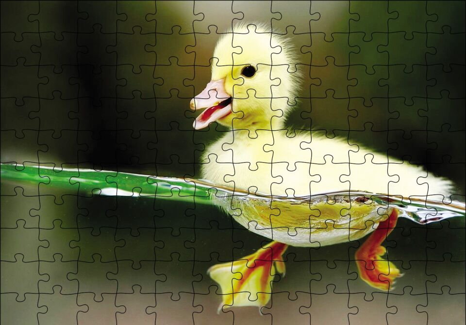 Yavru Sarı Ördek Puzzle Yapboz MDF Ahşap