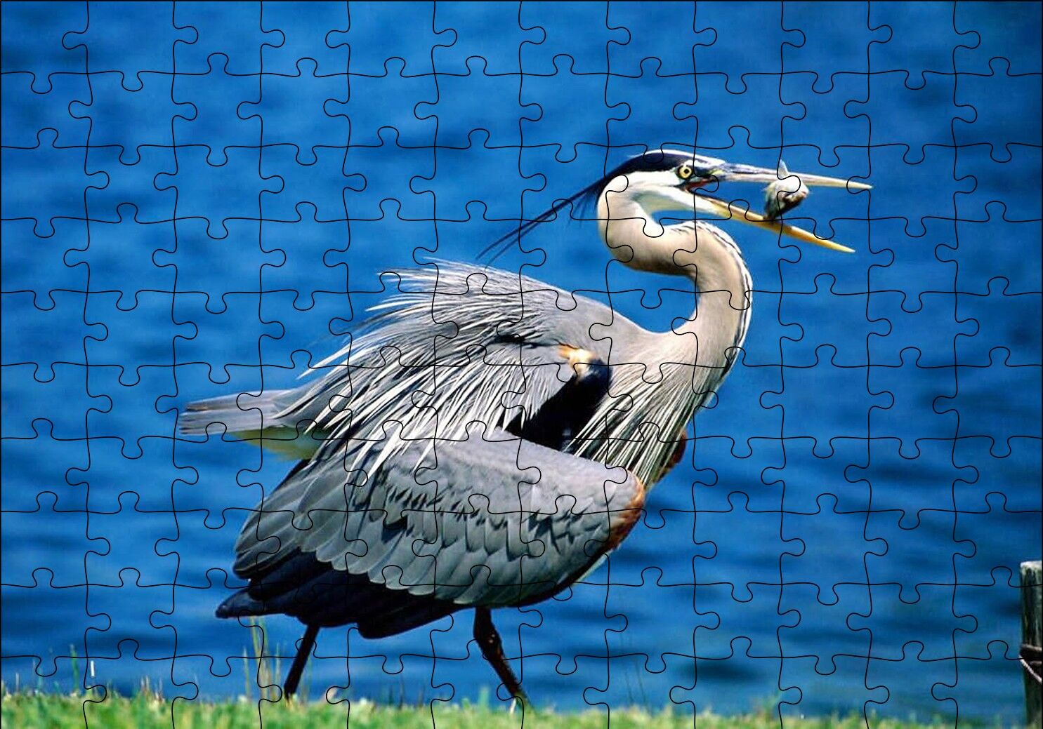 Balıkçıl ve Ağzında Yemeği Puzzle Yapboz MDF Ahşap 120 Parça 24 cm X 34 cm