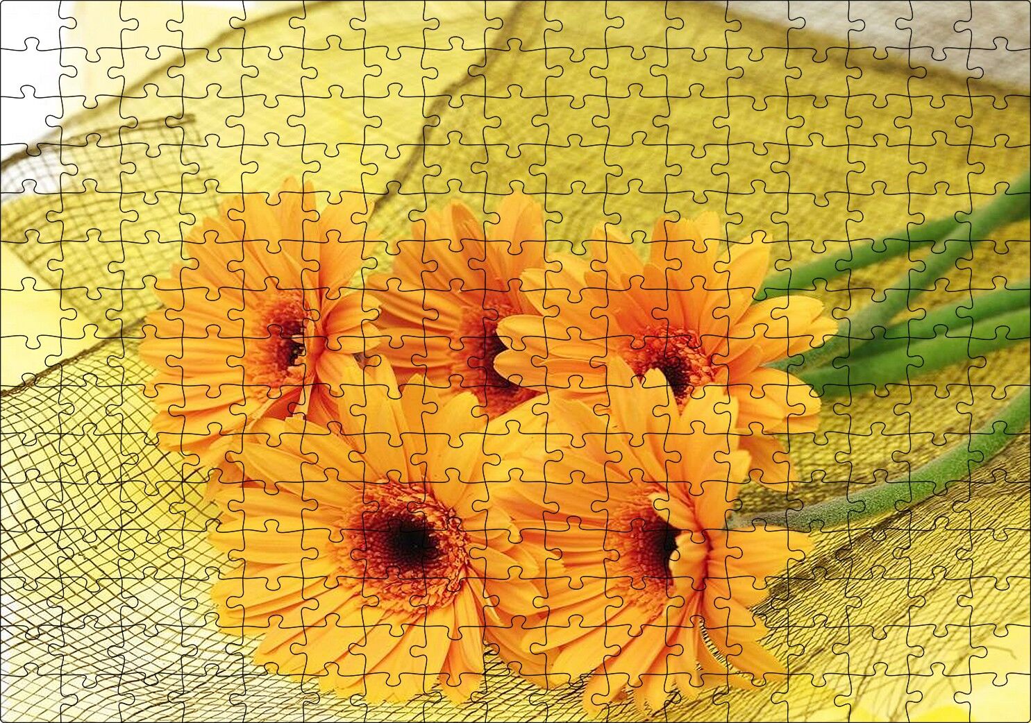 File Üzerinde Turuncu Papatya Demeti Görseli Puzzle Yapboz MDF Ahşap 255 Parça 34 cm X 49 cm