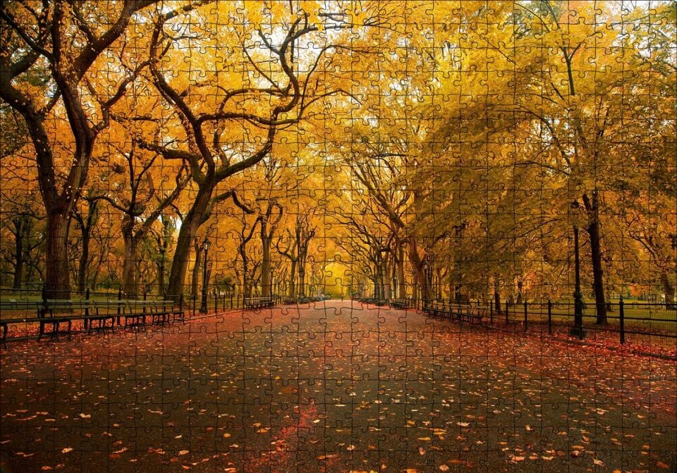 Sonbahar Sarı Kızıl Yapraklar Ağaçlı Yol Puzzle Yapboz MDF Ahşap 500 Parça 49 cm X 68 cm