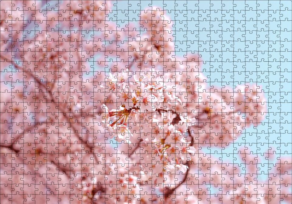 Dallarda Kiraz Çiçekleri Puzzle Yapboz MDF Ahşap 500 Parça 49 cm X 68 cm