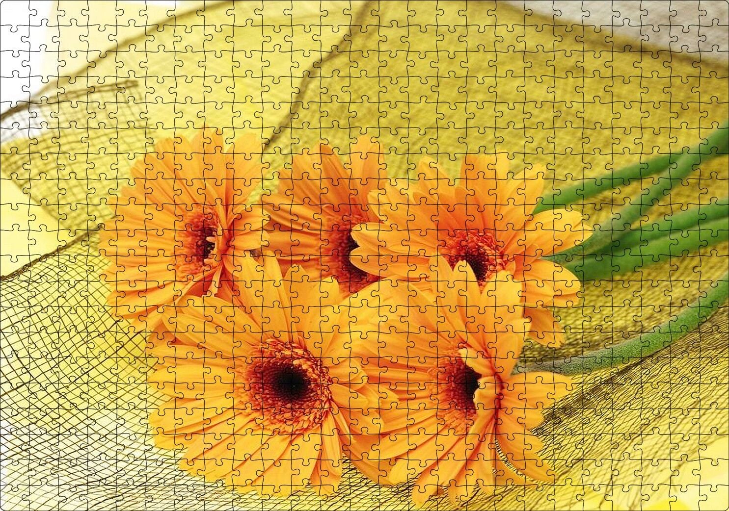 File Üzerinde Turuncu Papatya Demeti Görseli Puzzle Yapboz MDF Ahşap 500 Parça 49 cm X 68 cm