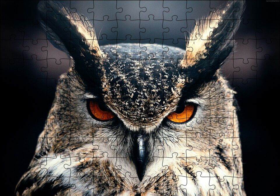 Kalın Kaşlı Baykuş Yakın Plan Puzzle Yapboz MDF Ahşap 120 Parça 24 cm X 34 cm