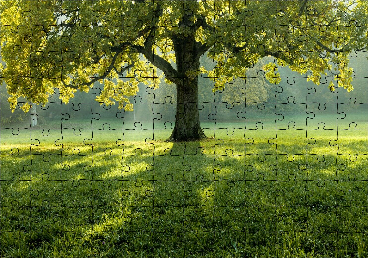Yemyeşil Çayırdaki Yalnız Ağaç ve Güneş Işıkları Puzzle Yapboz MDF Ahşap 120 Parça 24 cm X 34 cm