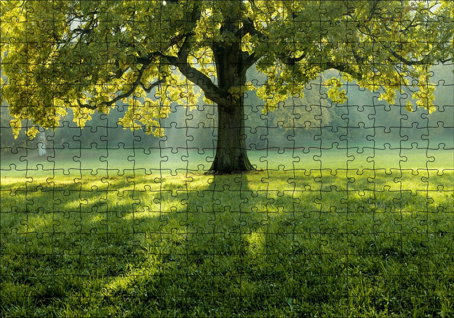 Yemyeşil Çayırdaki Yalnız Ağaç ve Güneş Işıkları Puzzle Yapboz MDF Ahşap 255 Parça 34 cm X 49 cm