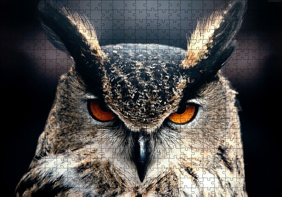 Kalın Kaşlı Baykuş Yakın Plan Puzzle Yapboz MDF Ahşap 500 Parça 49 cm X 68 cm