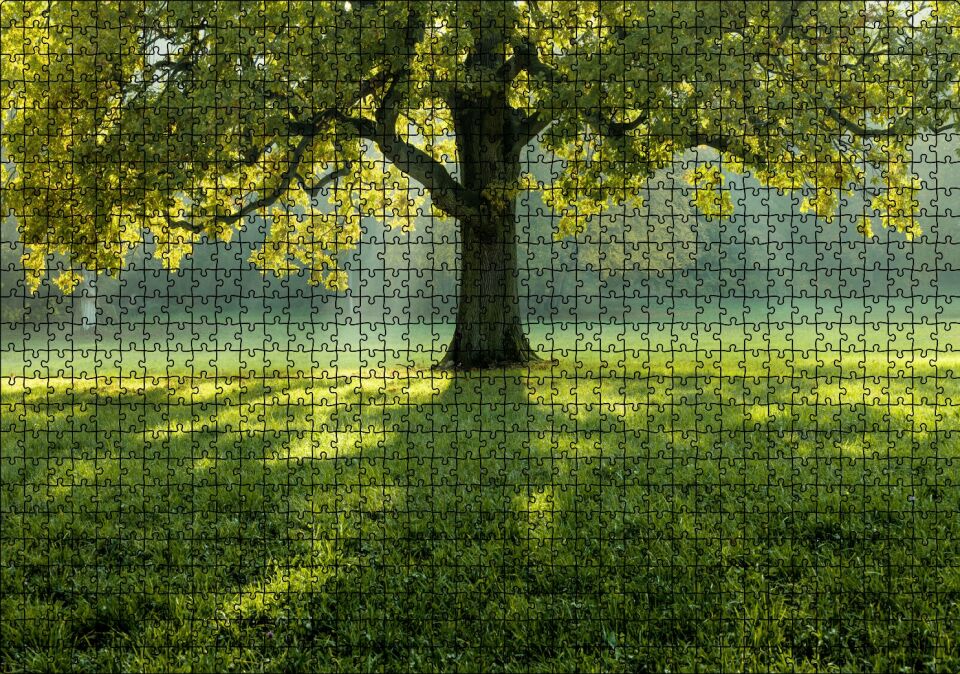 Yemyeşil Çayırdaki Yalnız Ağaç ve Güneş Işıkları Puzzle Yapboz MDF Ahşap 1000 Parça 49 cm X 68 cm