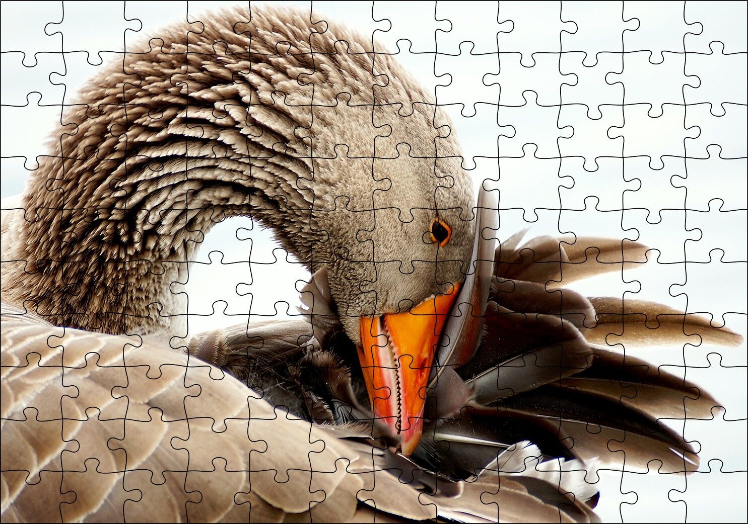Kanadını Temizleyen Kahverengi Kaz Görseli Puzzle Yapboz MDF Ahşap 120 Parça 24 cm X 34 cm