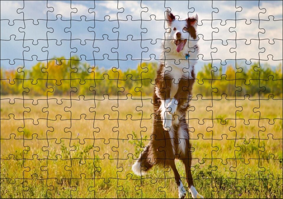 Sarı Çayırda Zıplayan Kahverengi Beyaz Köpek Puzzle Yapboz MDF Ahşap 120 Parça 24 cm X 34 cm
