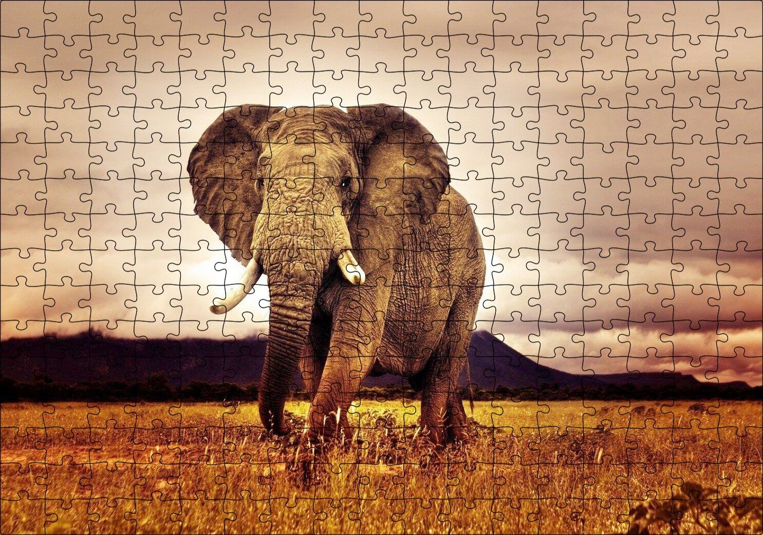 Savana'da Günbatımı ve Erkek Fil Puzzle Yapboz MDF Ahşap 255 Parça 34 cm X 49 cm