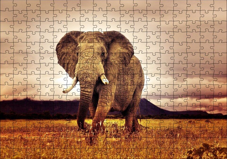 Savana'da Günbatımı ve Erkek Fil Puzzle Yapboz MDF Ahşap 255 Parça 34 cm X 49 cm
