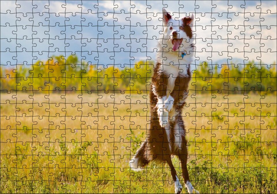 Sarı Çayırda Zıplayan Kahverengi Beyaz Köpek Puzzle Yapboz MDF Ahşap 255 Parça 34 cm X 49 cm