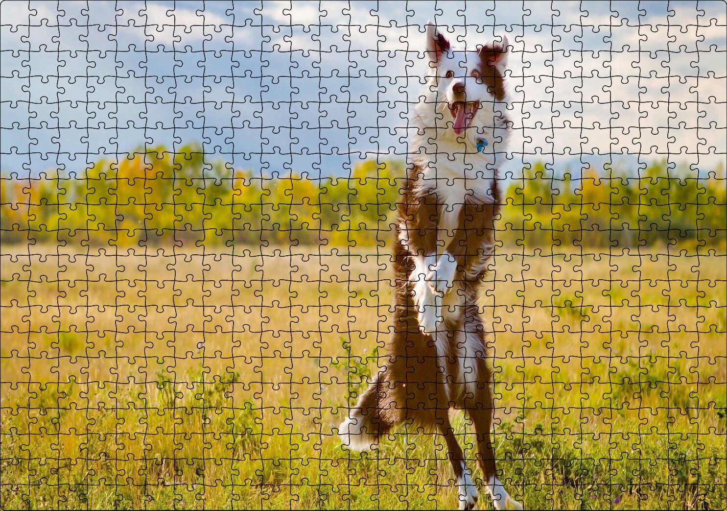 Sarı Çayırda Zıplayan Kahverengi Beyaz Köpek Puzzle Yapboz MDF Ahşap 500 Parça 49 cm X 68 cm