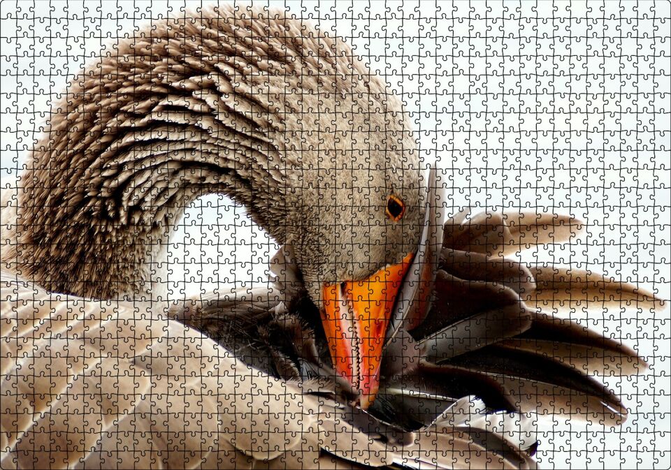 Kanadını Temizleyen Kahverengi Kaz Görseli Puzzle Yapboz MDF Ahşap 1000 Parça 49 cm X 68 cm