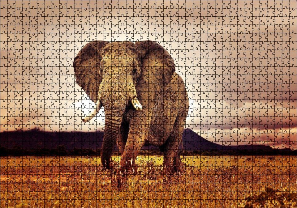Savana'da Günbatımı ve Erkek Fil Puzzle Yapboz MDF Ahşap 1000 Parça 49 cm X 68 cm