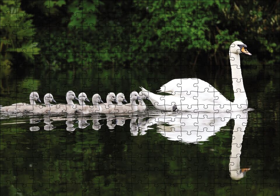 Kuğu ve Yavrular Puzzle Yapboz MDF Ahşap 255 Parça 34 cm X 49 cm