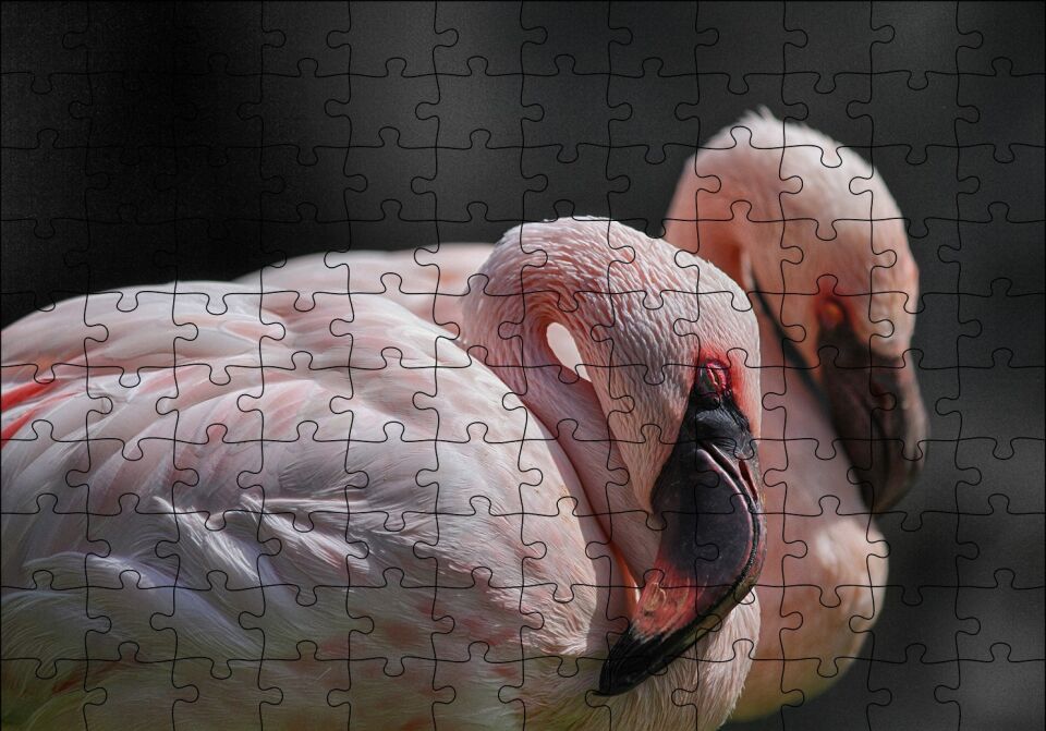 Uyuklayan Flamingolar Puzzle Yapboz MDF Ahşap