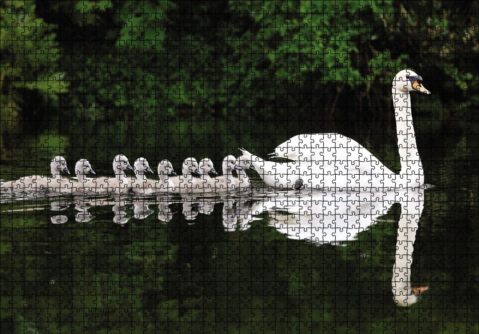 Kuğu ve Yavrular Puzzle Yapboz MDF Ahşap 1000 Parça 49 cm X 68 cm