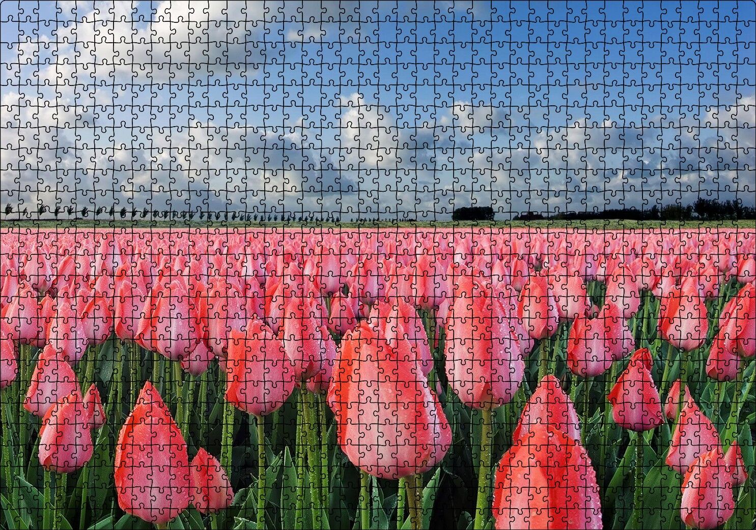 Pembe Lale Bahçesi Görseli Puzzle Yapboz MDF Ahşap 1000 Parça 49 cm X 68 cm