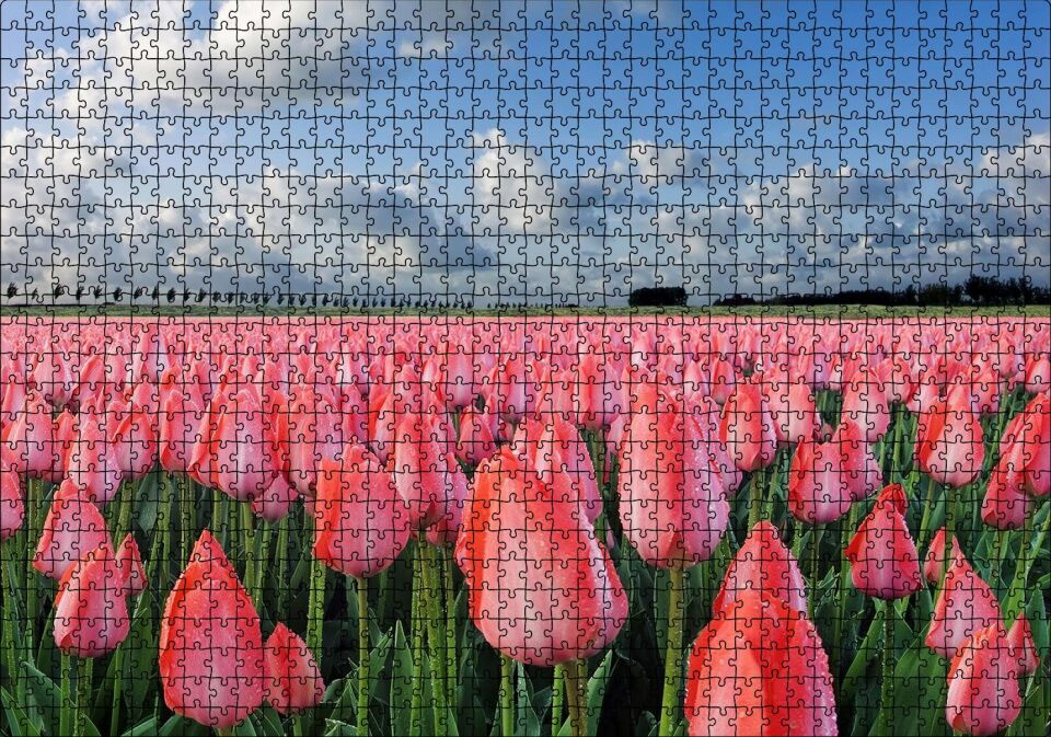 Pembe Lale Bahçesi Görseli Puzzle Yapboz MDF Ahşap 1000 Parça 49 cm X 68 cm