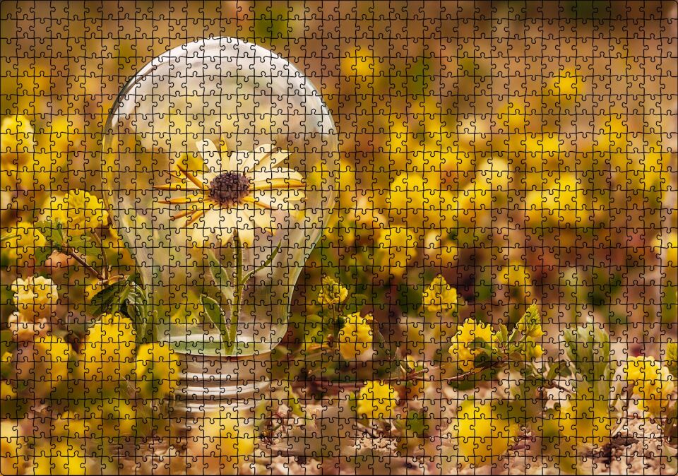 Sarı Çiçekler ve Ampul İçerisindeki Yalnız Sarı Çiçek Puzzle Yapboz MDF Ahşap 1000 Parça 49 cm X 68 cm