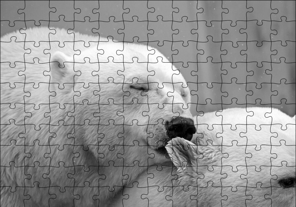 Uyuklayan Kutup Ayısı Puzzle Yapboz MDF Ahşap