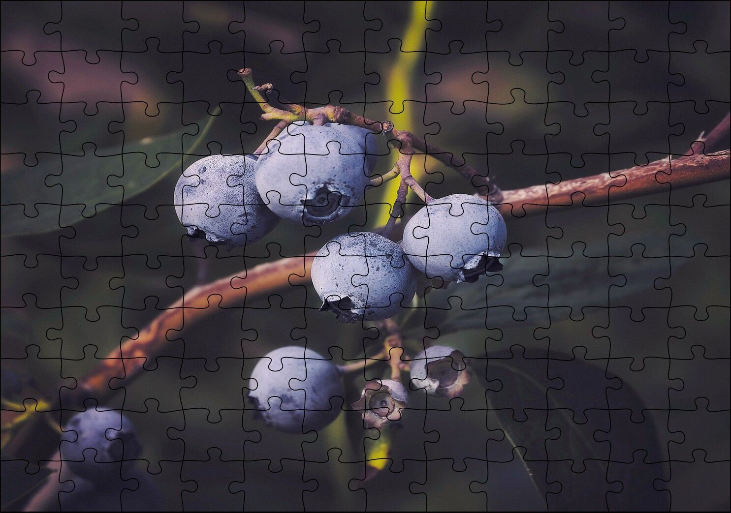 Dalda Yabanmersini Meyveleri Puzzle Yapboz MDF Ahşap