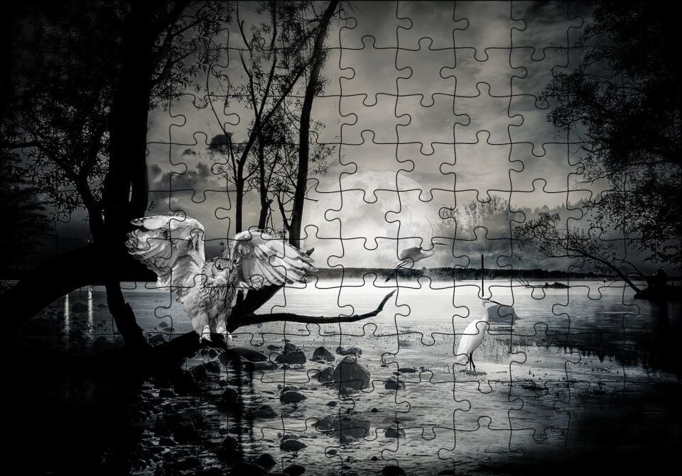 Gecede Balıkçı Kuşları Göl Puzzle Yapboz MDF Ahşap 120 Parça 24 cm X 34 cm