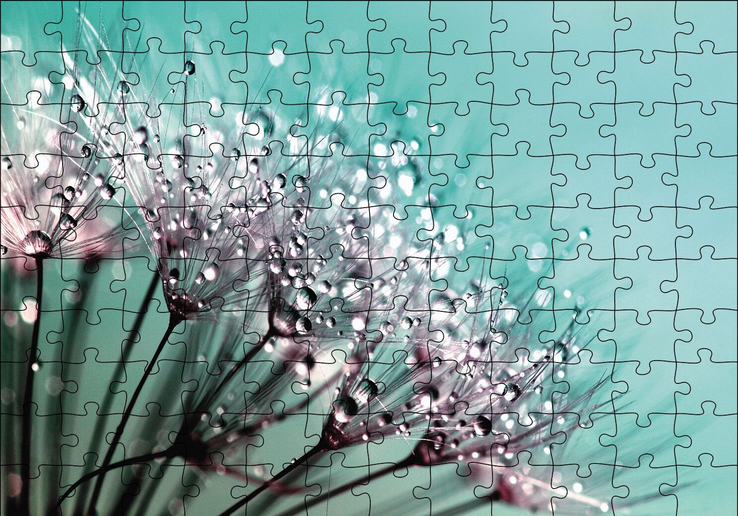 Çiçekler Üzerinde Çiy Damlaları Puzzle Yapboz MDF Ahşap