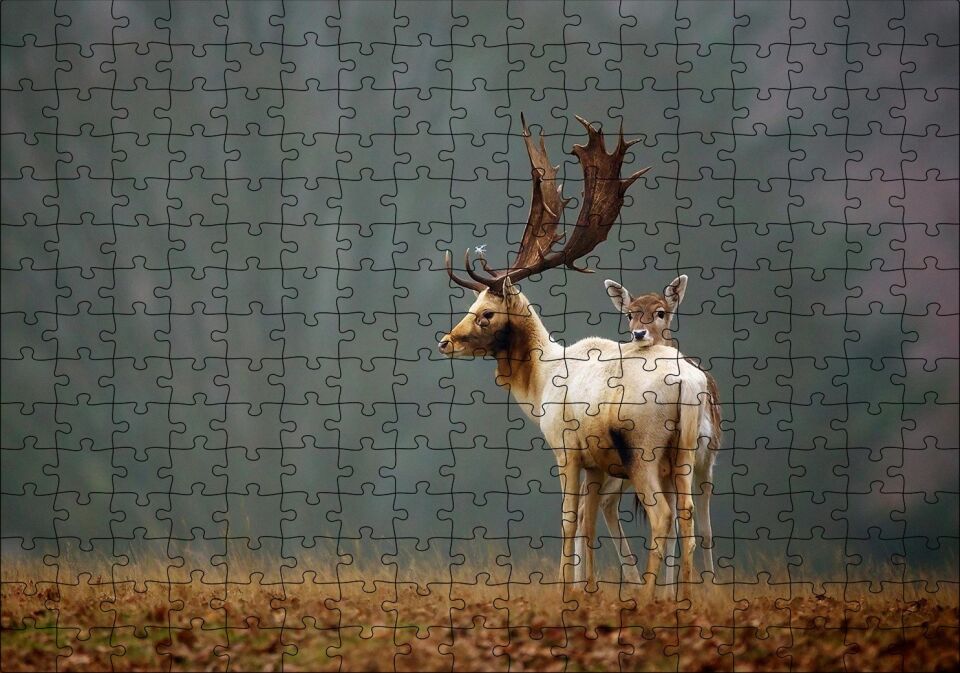 Ormanda Geyik Ve Yavrusu Puzzle Yapboz MDF Ahşap 255 Parça 34 cm X 49 cm