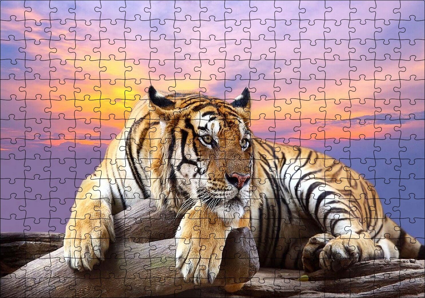 Kaplan Gün Batımı Görseli Puzzle Yapboz MDF Ahşap 255 Parça 34 cm X 49 cm