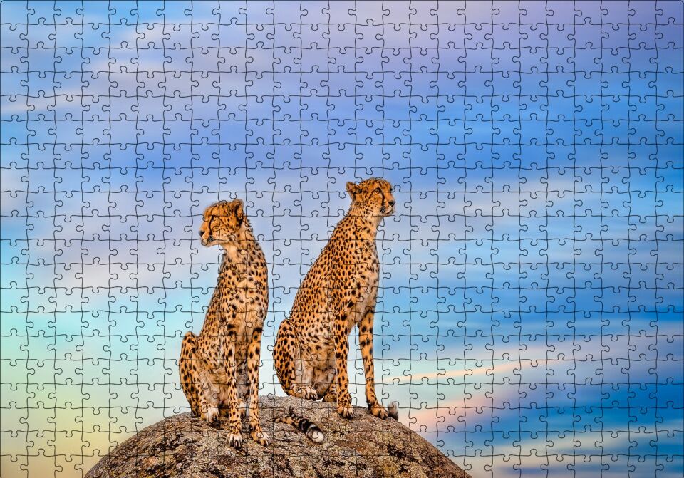 Kayalığın Üzerindeki Çita Çifti Puzzle Yapboz MDF Ahşap 500 Parça 49 cm X 68 cm