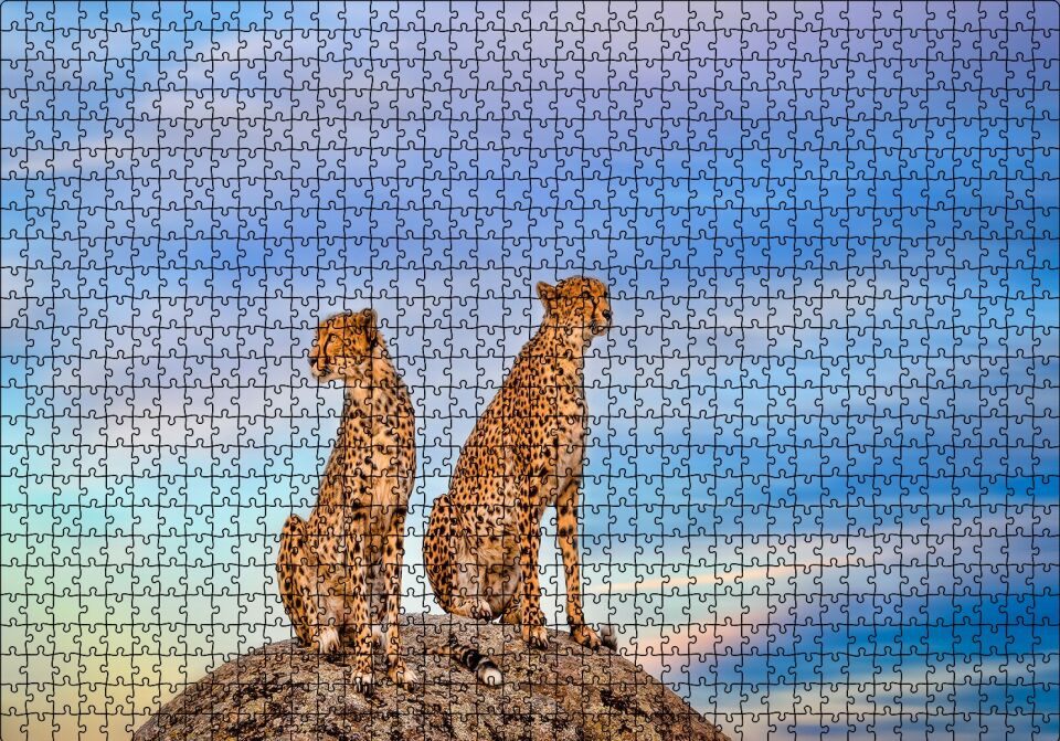 Kayalığın Üzerindeki Çita Çifti Puzzle Yapboz MDF Ahşap 1000 Parça 49 cm X 68 cm