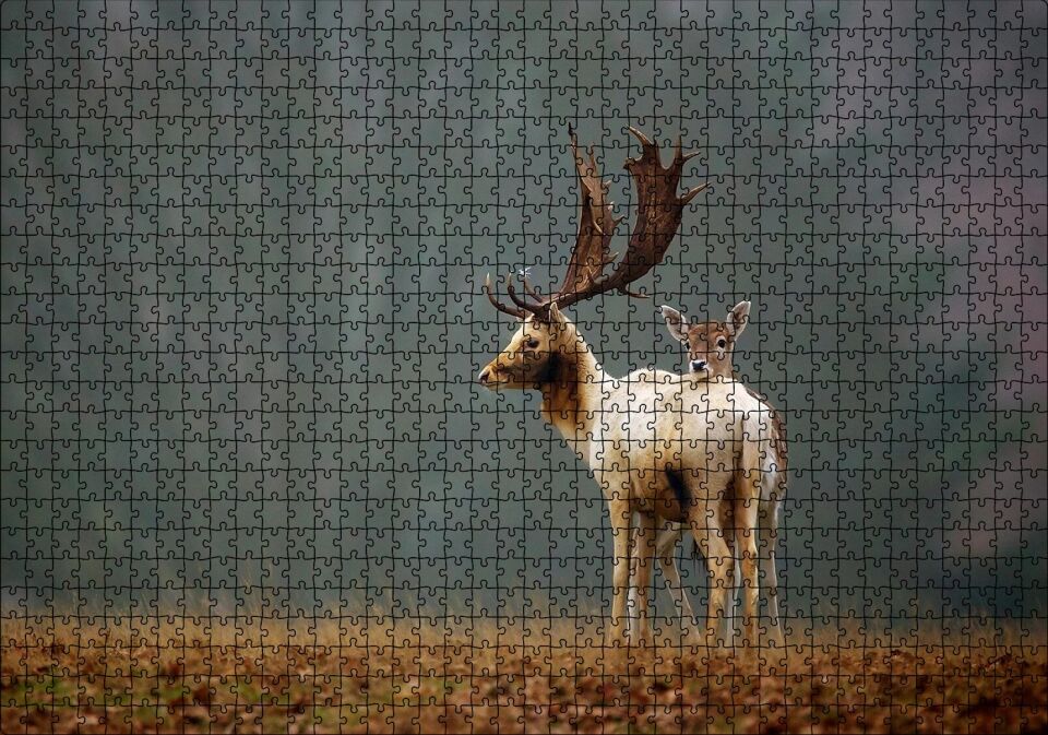 Ormanda Geyik Ve Yavrusu Puzzle Yapboz MDF Ahşap 1000 Parça 49 cm X 68 cm