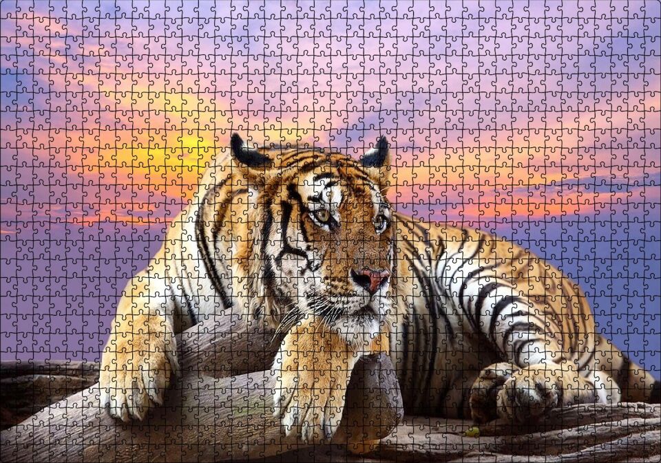 Kaplan Gün Batımı Görseli Puzzle Yapboz MDF Ahşap 1000 Parça 49 cm X 68 cm