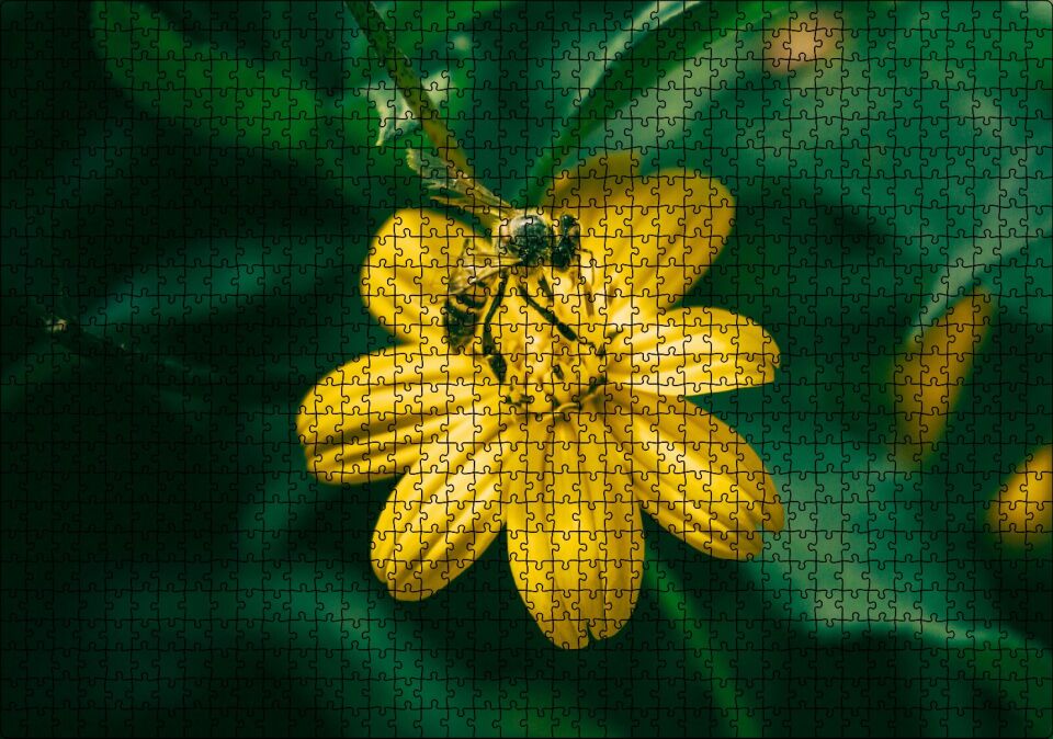 Sarı Çiçekten Polen Toplayan Arı Puzzle Yapboz MDF Ahşap 1000 Parça 49 cm X 68 cm