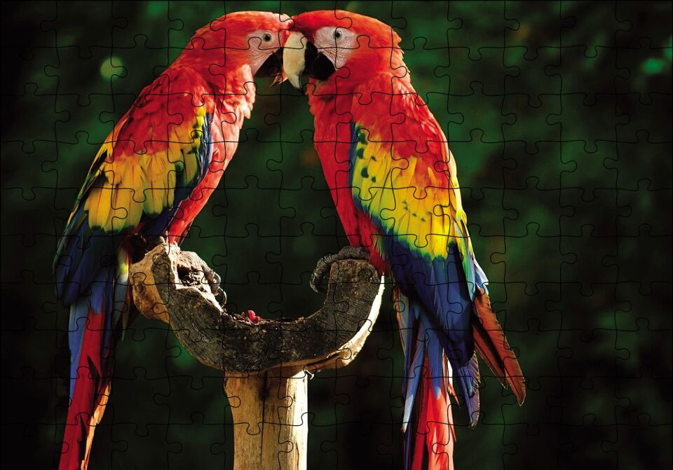 Aşık Papaganlar Puzzle Yapboz MDF Ahşap 120 Parça 24 cm X 34 cm