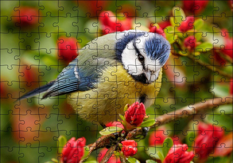 Kırmızı Çiçekli Ağaçta Mavi Sarı Kuş Puzzle Yapboz MDF Ahşap 120 Parça 24 cm X 34 cm