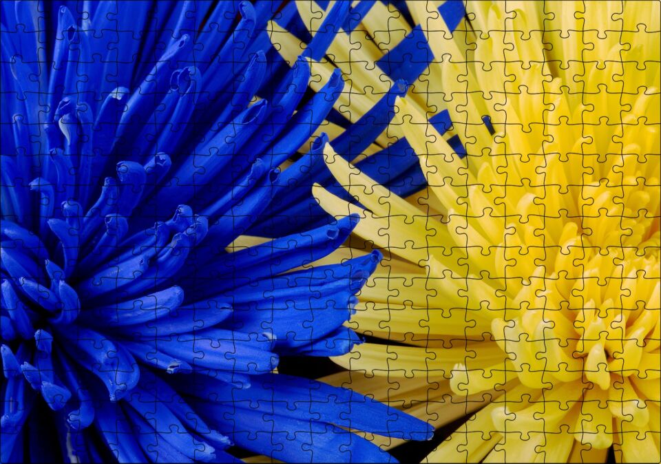 Sarı ve Mavi Çiçekler Yanyana Yakın Çekim Puzzle Yapboz MDF Ahşap 255 Parça 34 cm X 49 cm