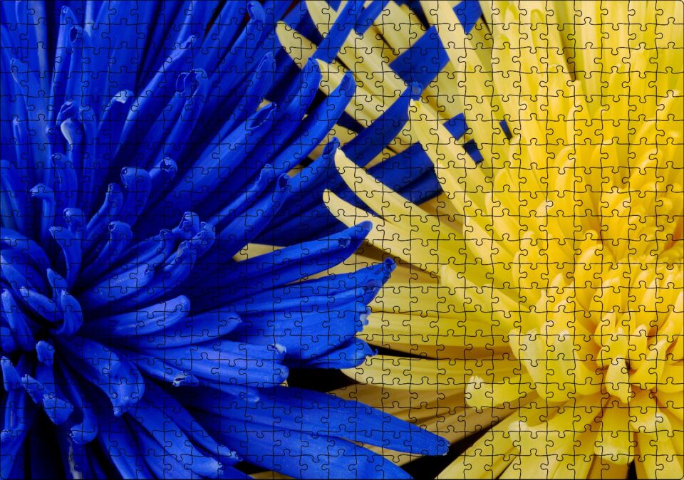 Sarı ve Mavi Çiçekler Yanyana Yakın Çekim Puzzle Yapboz MDF Ahşap 500 Parça 49 cm X 68 cm