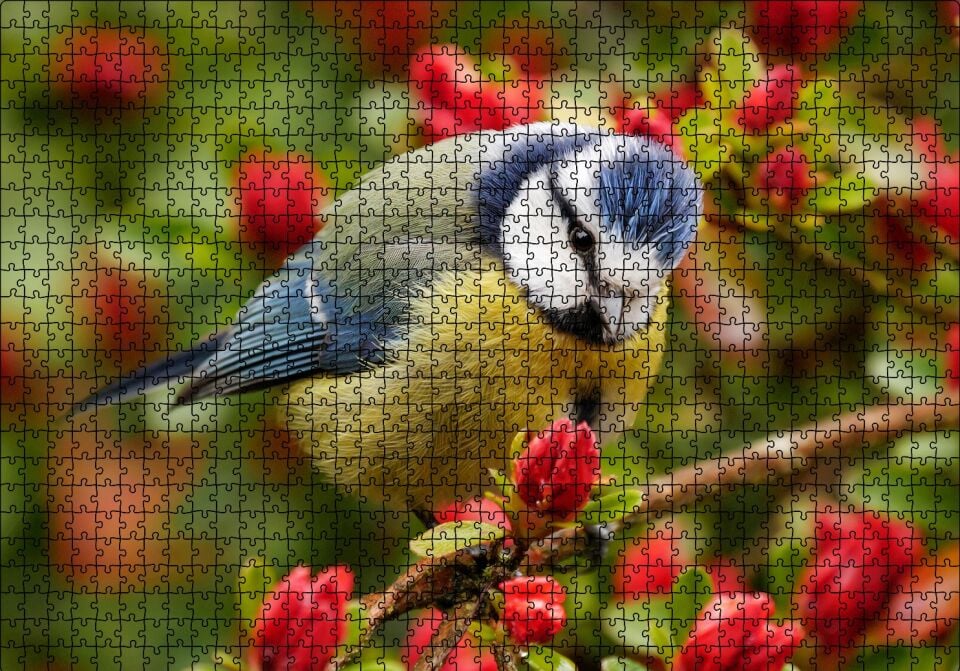 Kırmızı Çiçekli Ağaçta Mavi Sarı Kuş Puzzle Yapboz MDF Ahşap 1000 Parça 49 cm X 68 cm