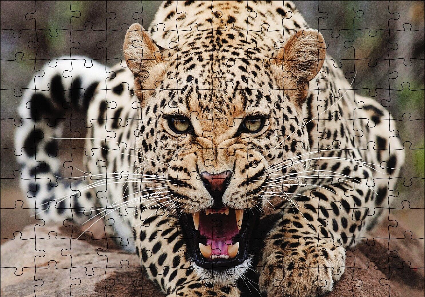 Kükreyen Jaguar Puzzle Yapboz MDF Ahşap 120 Parça 24 cm X 34 cm