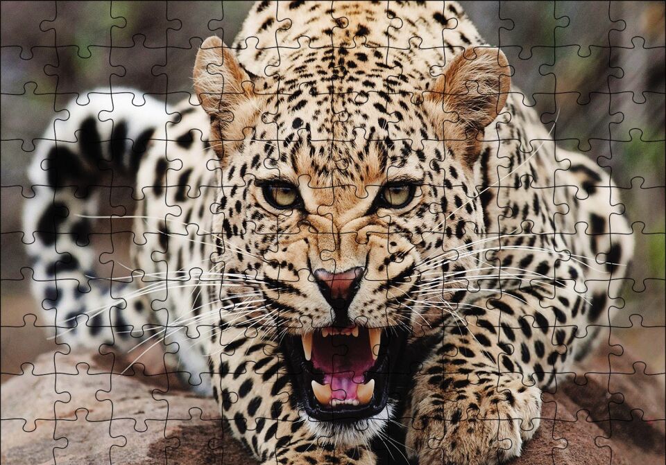 Kükreyen Jaguar Puzzle Yapboz MDF Ahşap 120 Parça 24 cm X 34 cm