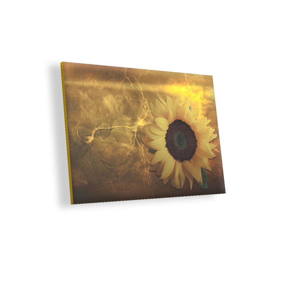 Ayçiçeği Çatlak Zeminde Kadın Figürü MDF Akşap Duvar Tablo 35x50 cm